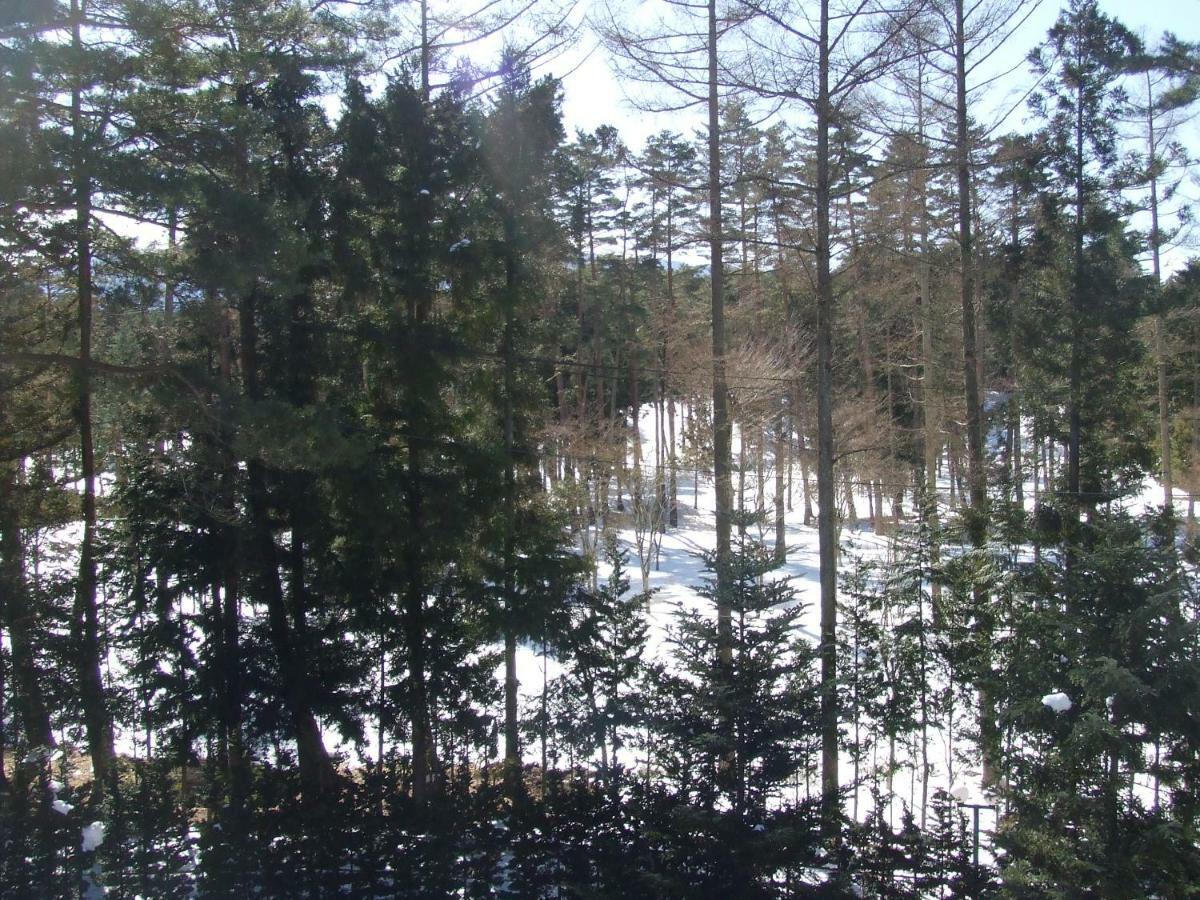 Sundance Resort Kawaguchiko Fudžikawagučiko Exteriér fotografie
